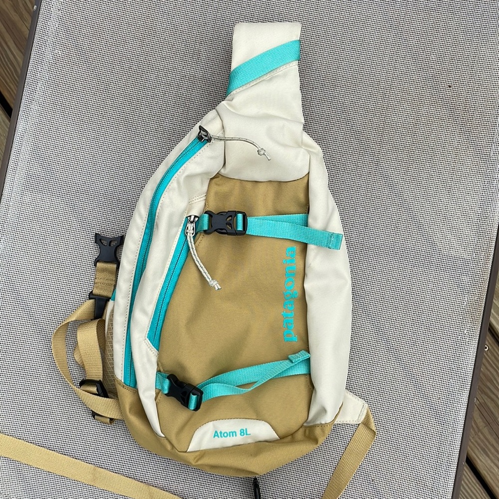Patagonia Atom Backpack